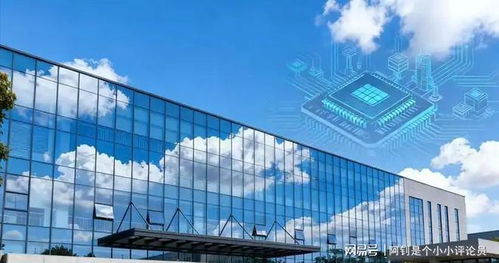 美荷两国联合批评中国自主研发光刻机技术的背后